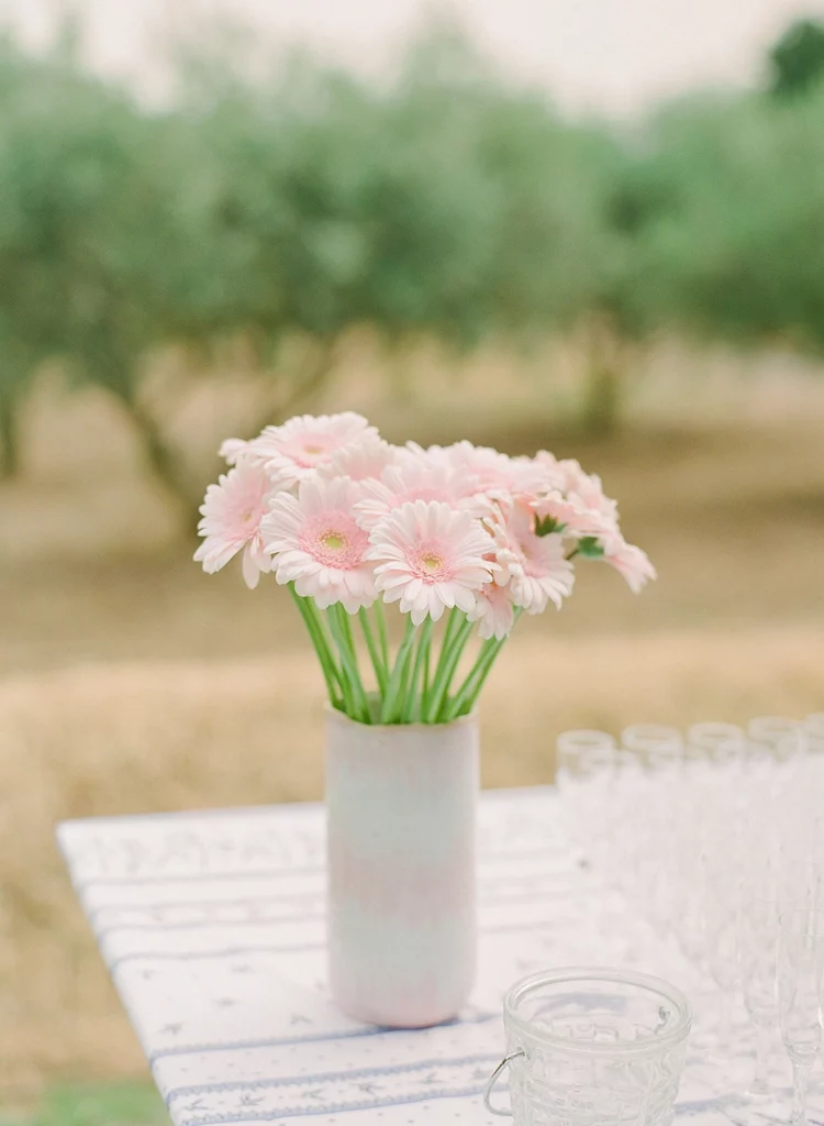 Dinner & Party Wedding
